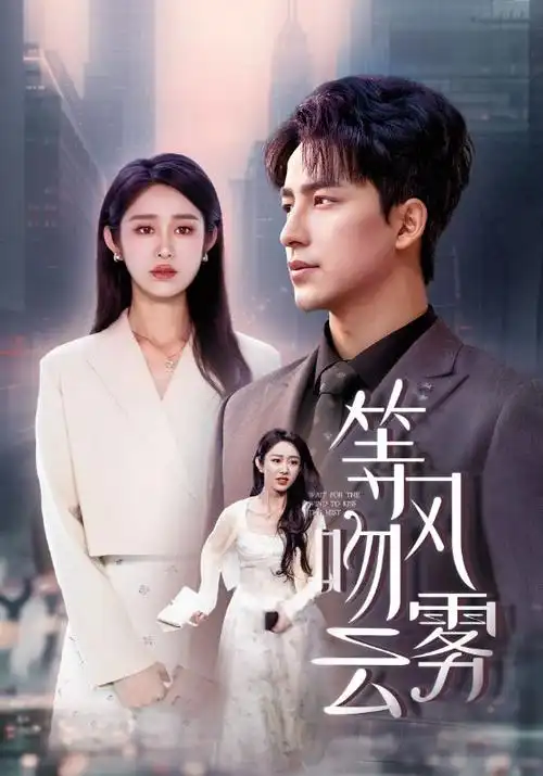 《玫瑰故事》电视剧海报